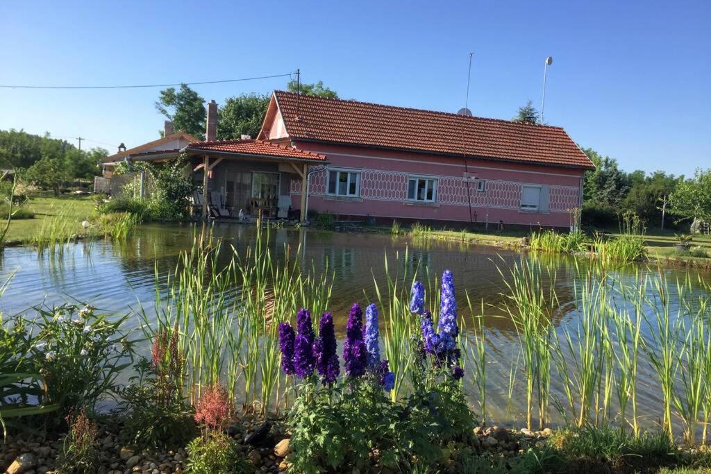 Tanya Anna Apartman Csengele Kültér fotó